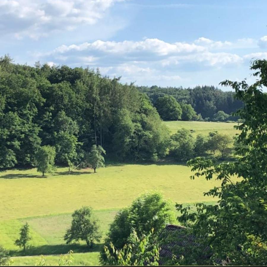 Ferienhaus Hygge Reichelsheim 외부 사진